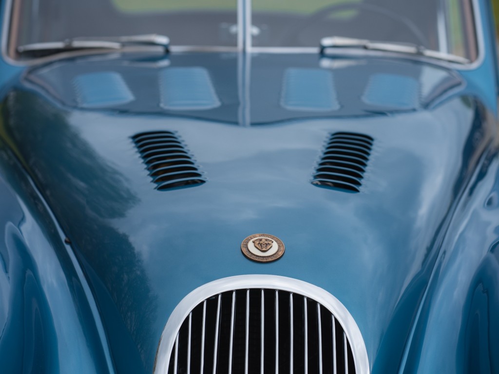 33116016-7.jpg