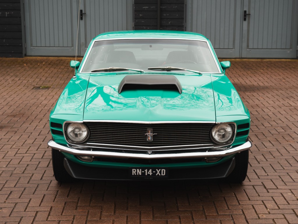 37564954-2.jpg