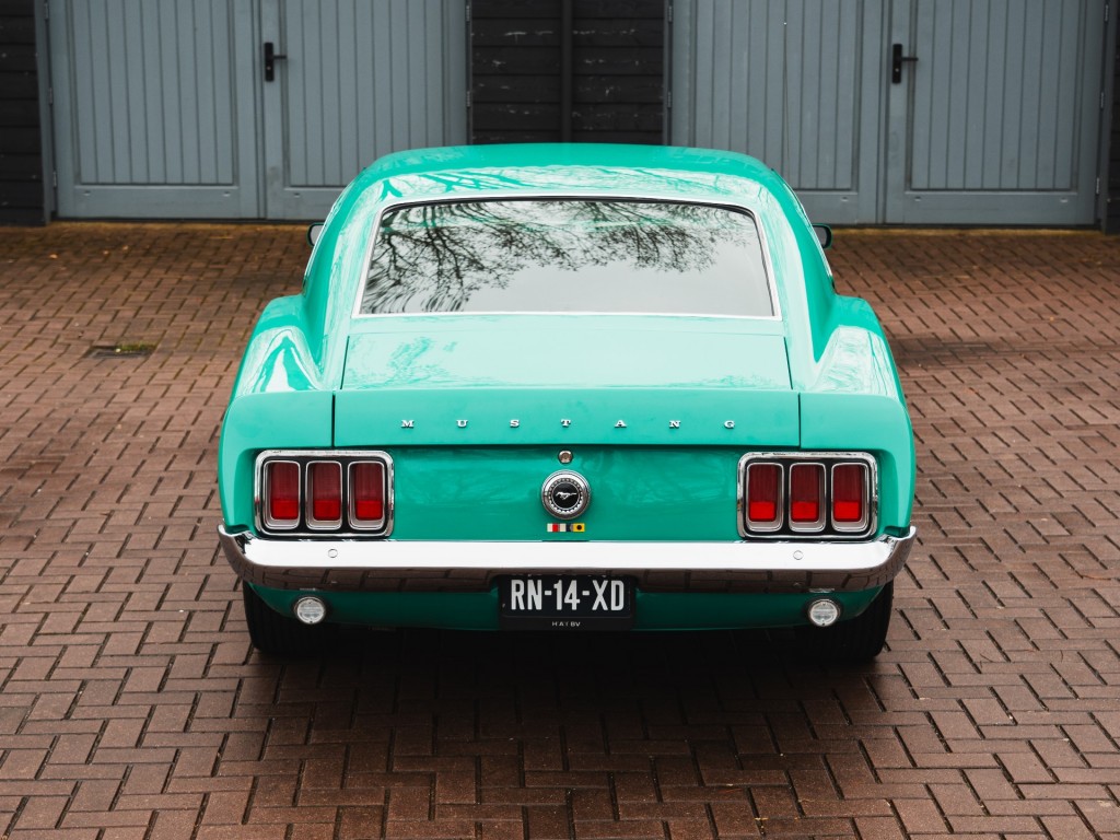 37564954-24.jpg
