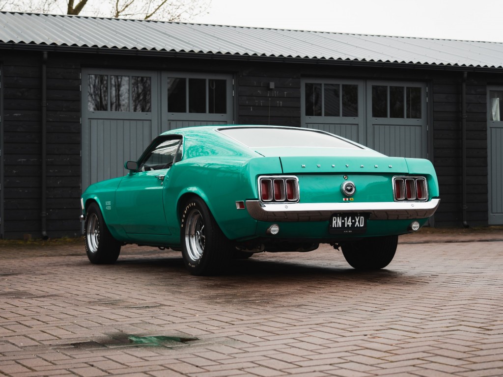 37564954-25.jpg
