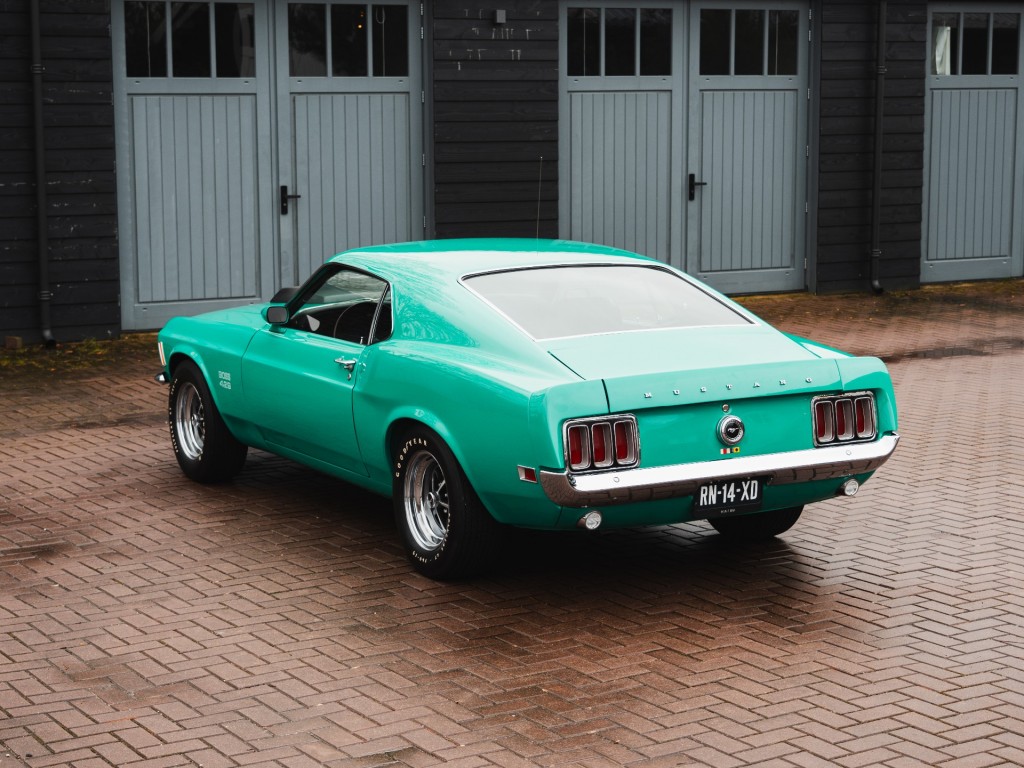 37564954-26.jpg