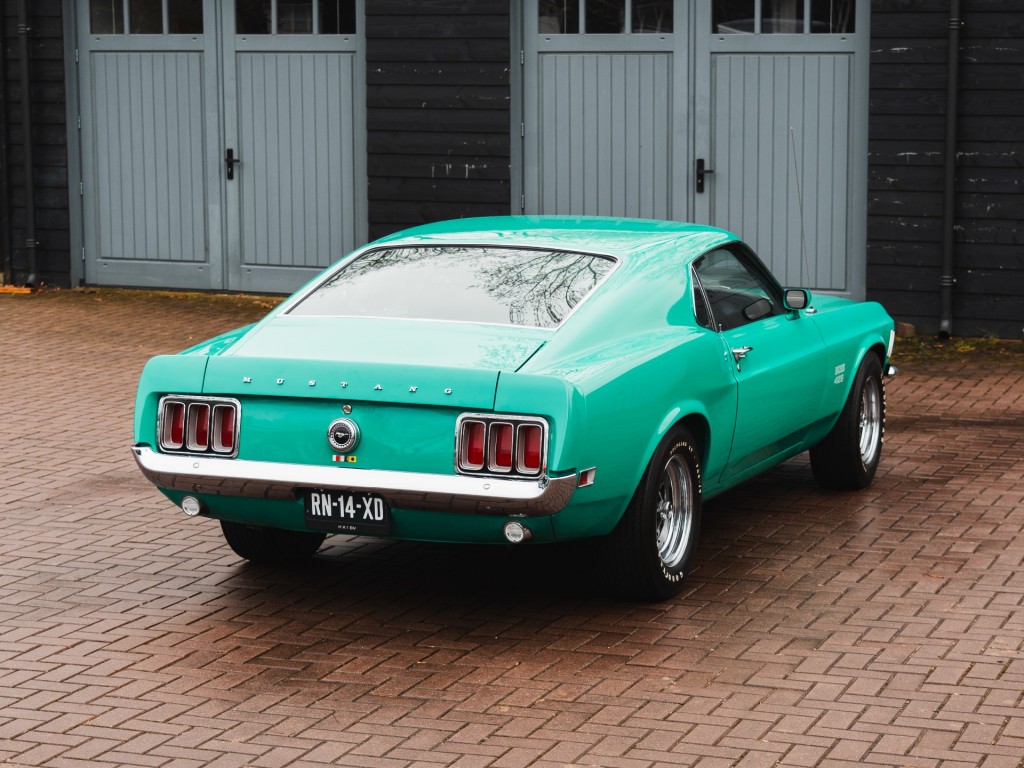 37564954-28.jpg