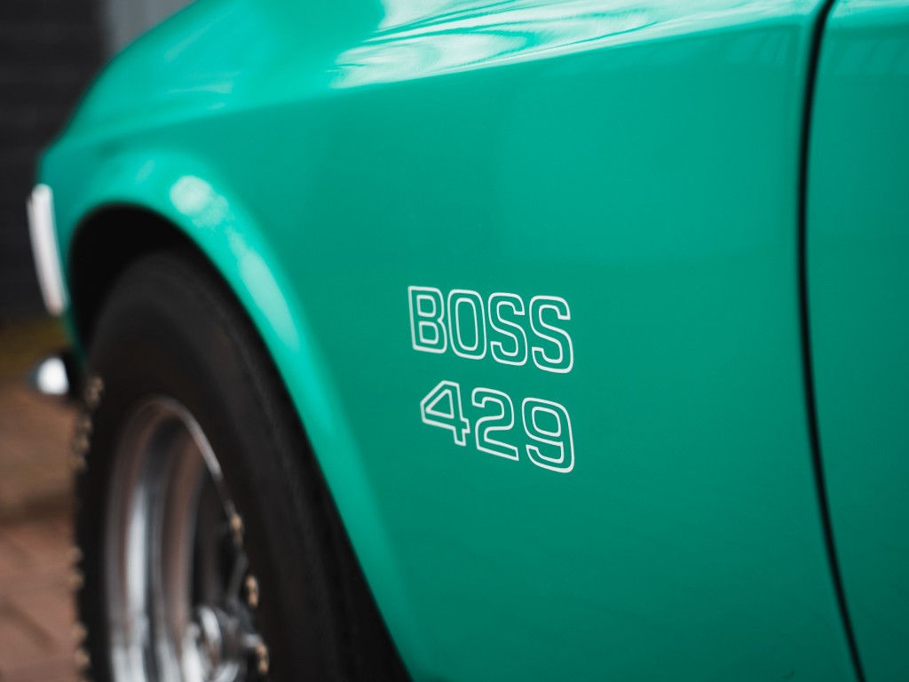 37564954-30.jpg