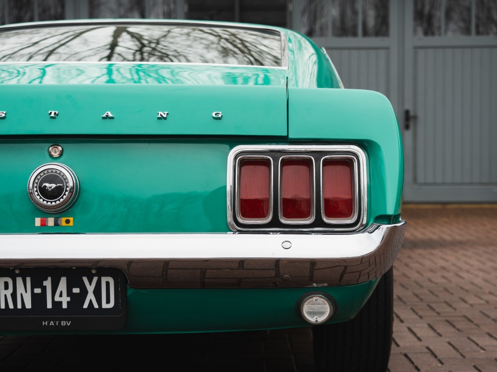 37564954-37.jpg