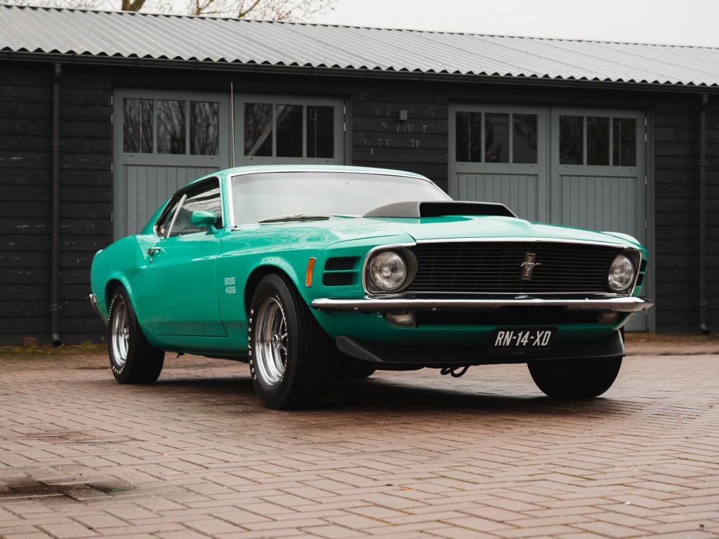 37564954-5.jpg