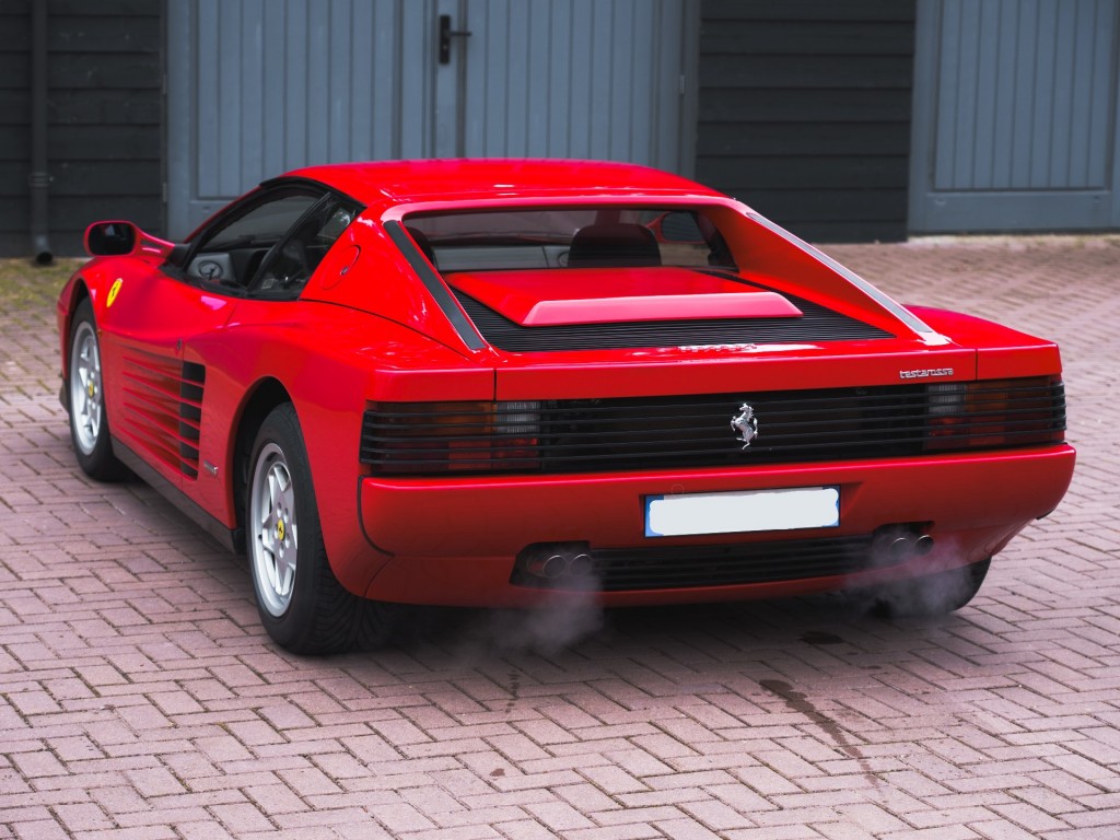 38590850-7.jpg