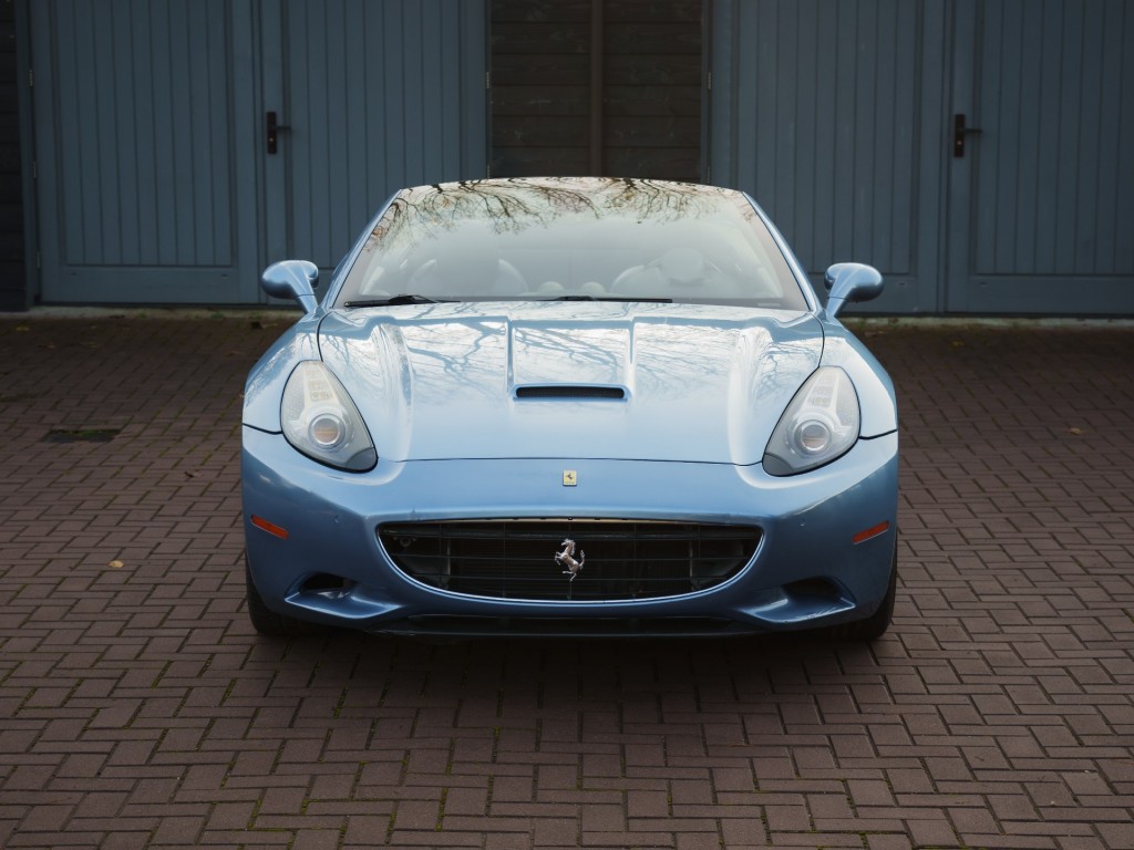 40870019-3.jpg