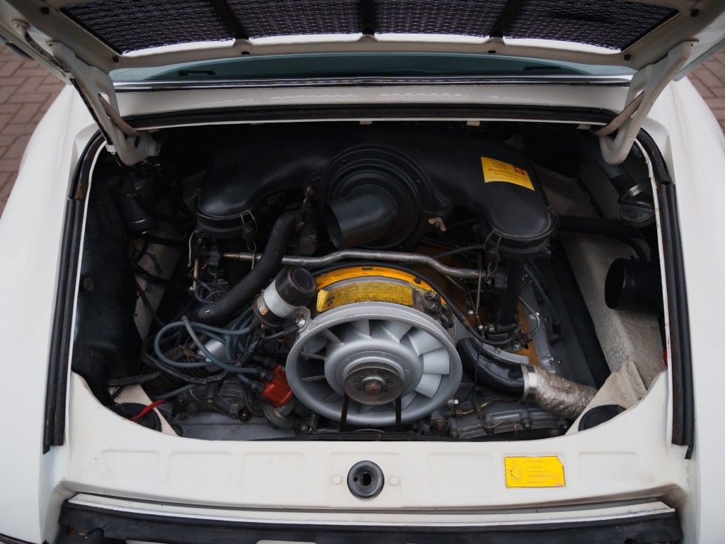 43253974-19.jpg