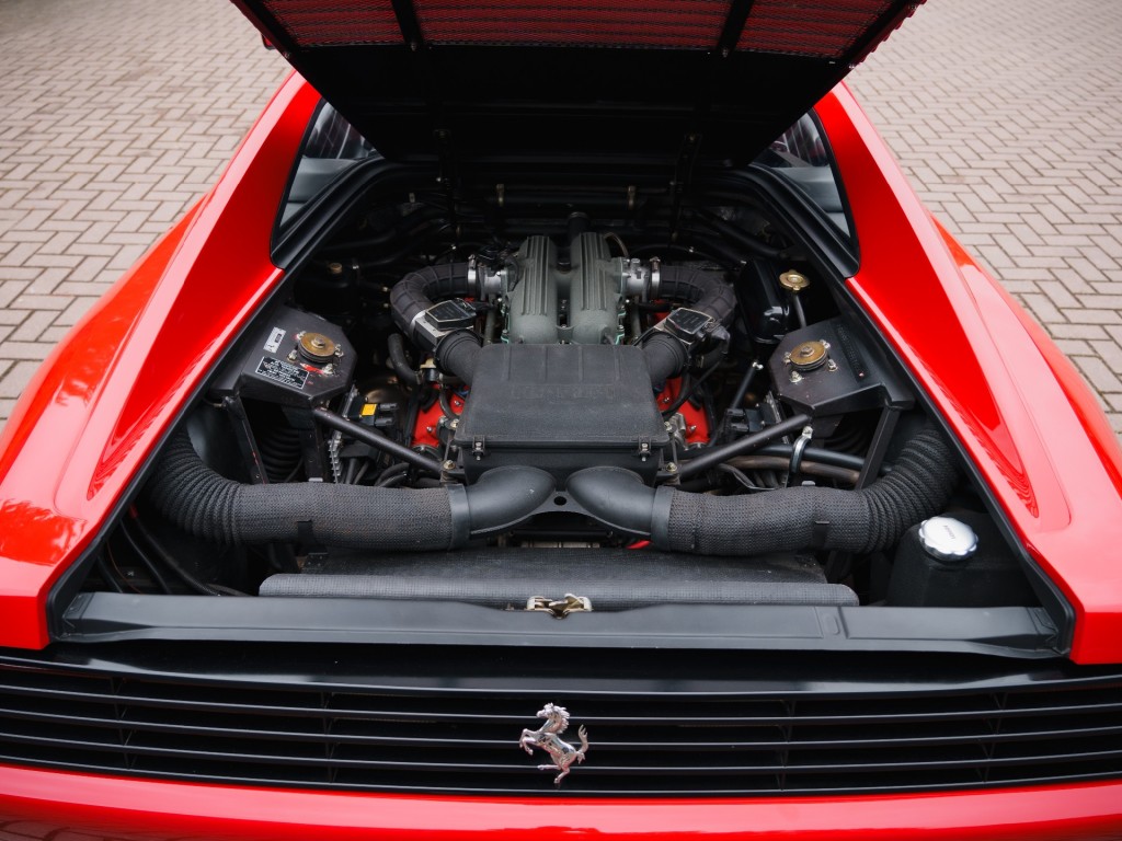 44346751-21.jpg