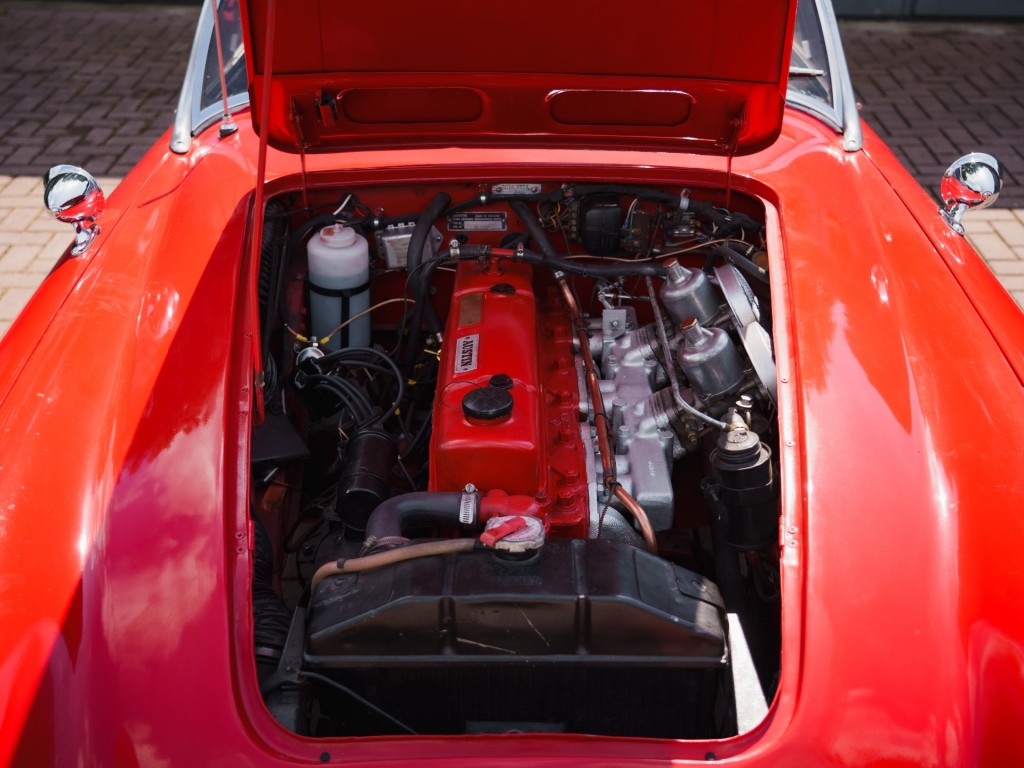 44756796-18.jpg