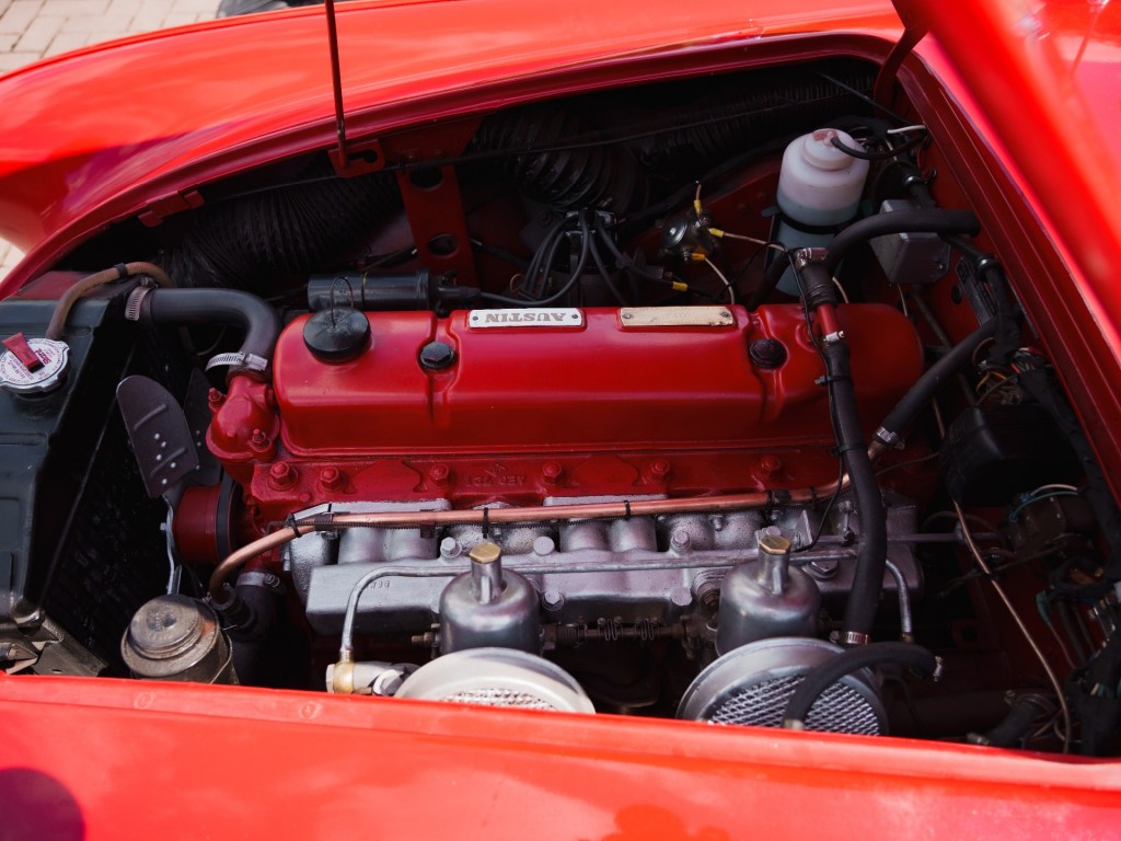 44756796-20.jpg