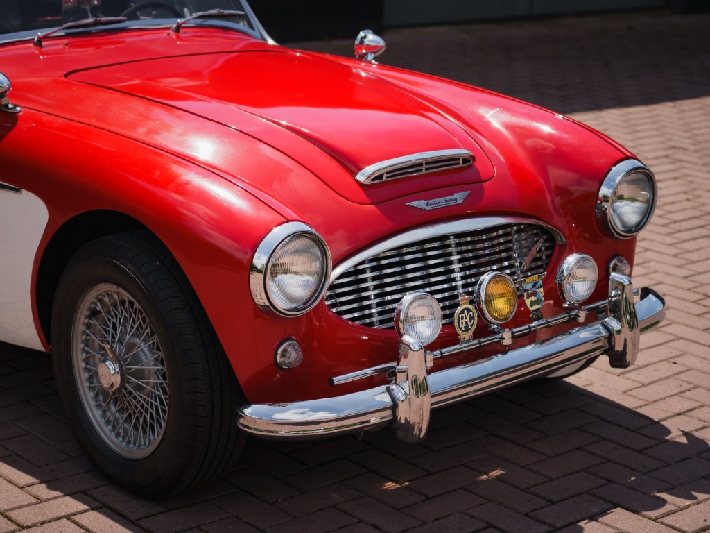 44756796-6.jpg