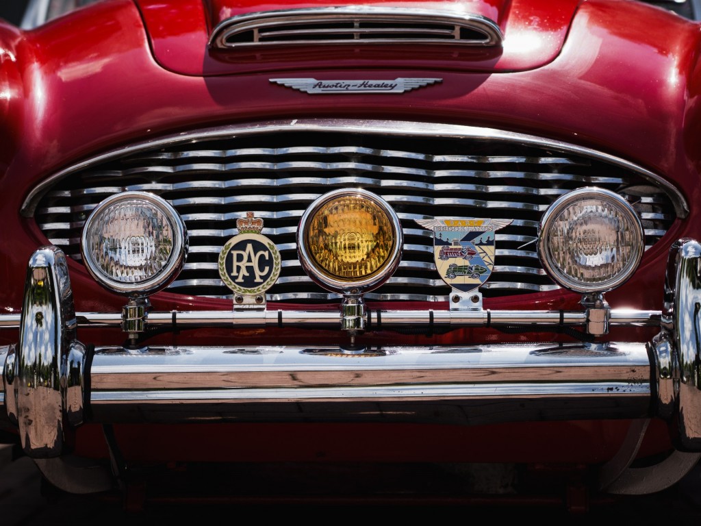 44756796-7.jpg