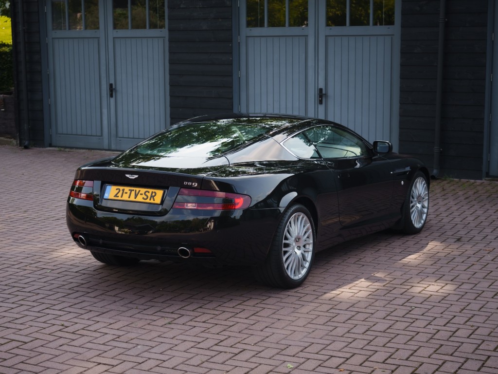 46560843-19.jpg