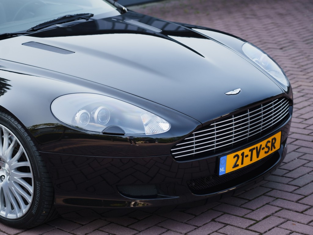 46560843-36.jpg